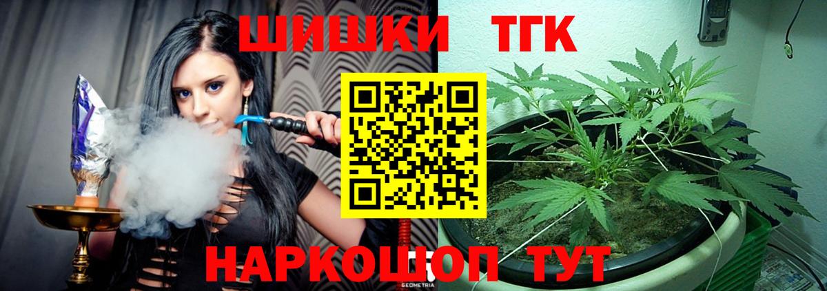 Бошки марихуана конопля  Шишки марихуана планчик  Марихуана THC 21%  Вход с VPN  Губаха 
